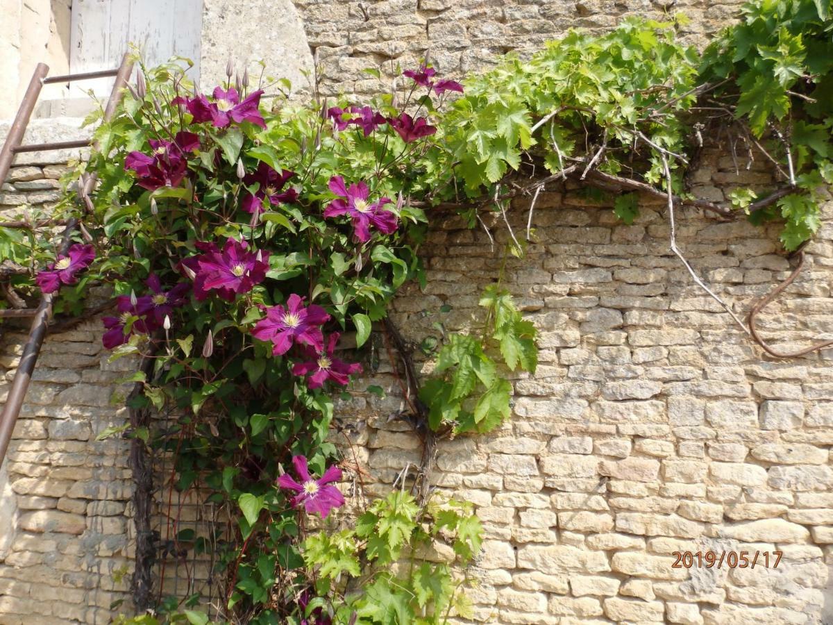 Safraniere De La Venelle Du Moulin Bed & Breakfast Jort Ngoại thất bức ảnh